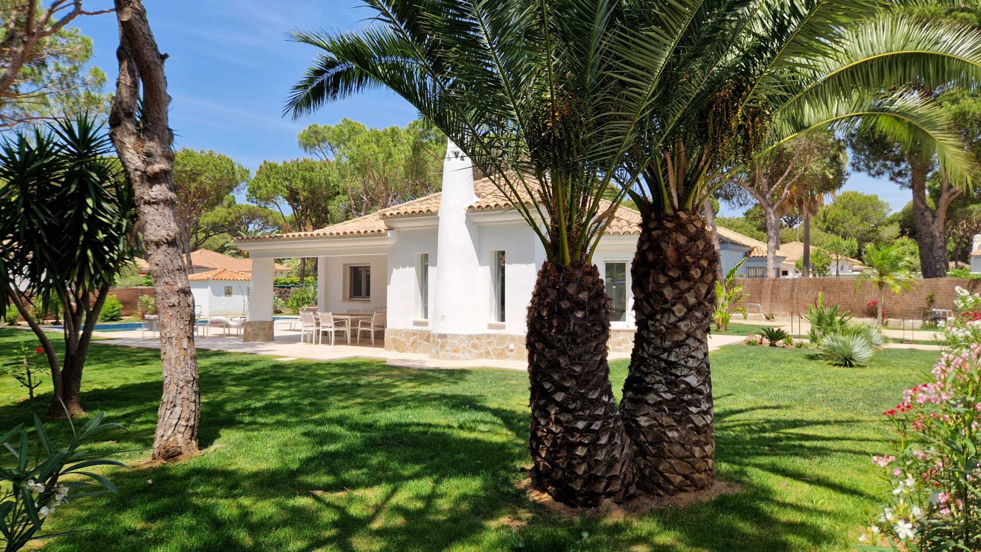Garten und Casa Mar y Vida mit Palmen